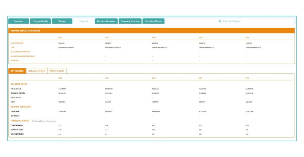 financial page of the credit report